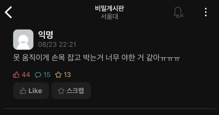 못 움직이게 손목 잡고 박는게 너무 야한 거 같음.jpg