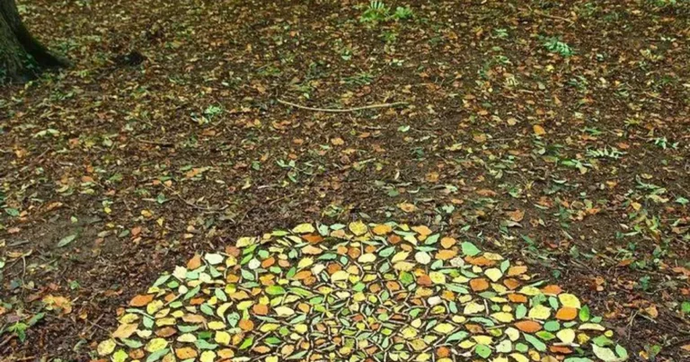 할일이 너무 없는 사람 5