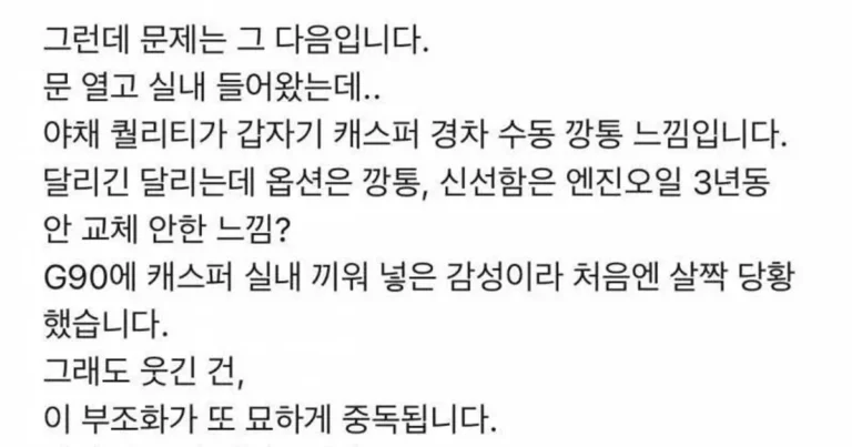 G90 사서 신난 배민 리뷰어