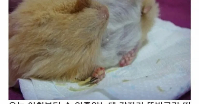 인간 방귀의 위력