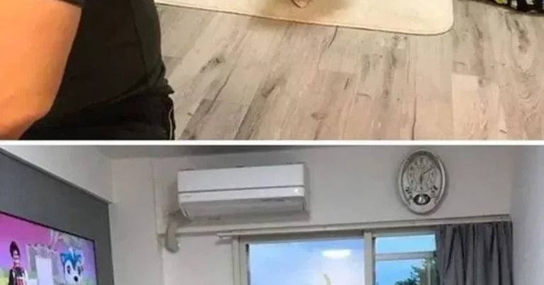 할머니 집에서 자란 애기 특징