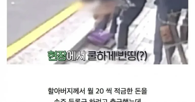 노인이 떨어트린 천만원, 사이 좋게 반띵한 두 여자