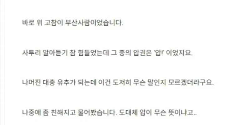 서울 사람들이 충격받는다는 부산 사투리