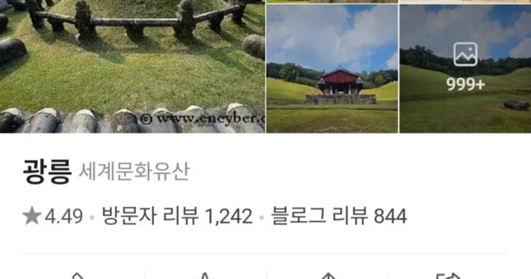 매일매일 악플 리뷰가 업뎃 된다는 장소.