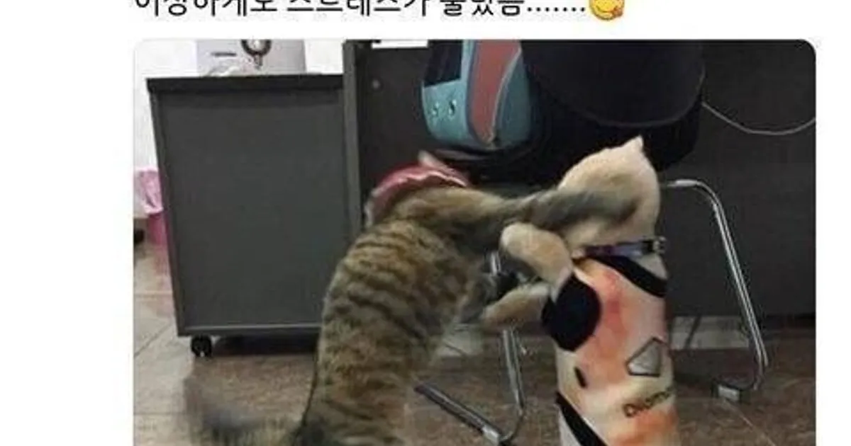 872391548f8b918ba88ff49cc15c5d247ecf89397fe5bf3f84bc8ac1a2791b4a