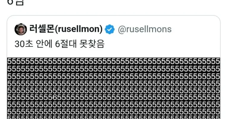 30초 안에 6 찾기