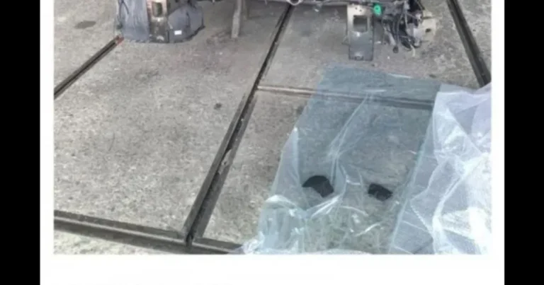 의문의 자동차 전문가.jpg