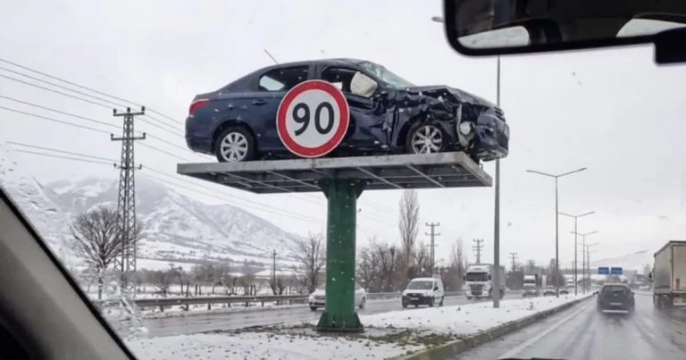 도로 위 직관적인 사고차 전시