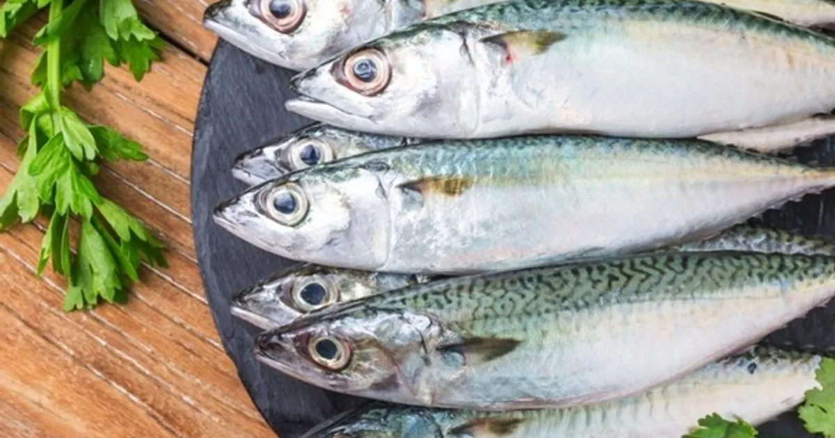 B731b4deed74033db279f9b7435d281fd181dec4135bf2222df88a3b51029602