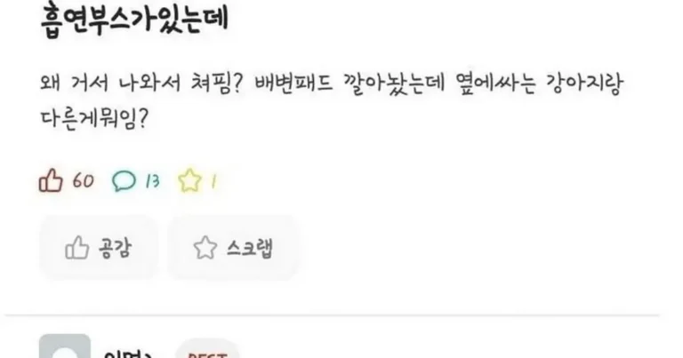 흡연부스가 있는데 왜 나와서 핌?.jpg