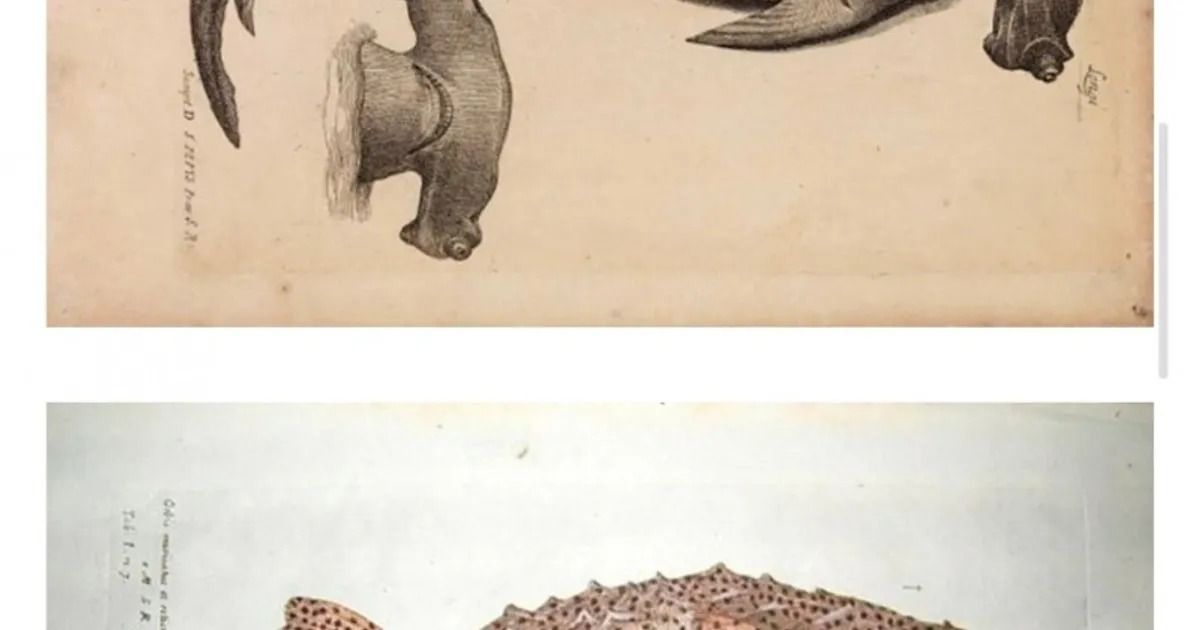 C3d29380bdb3f269cec537be22b1f87320613939c309ac11c669567950f6fc36