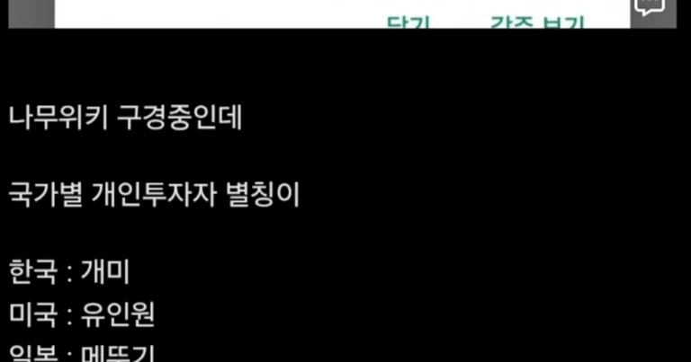 독일에서 부르는 개인투자자 별칭