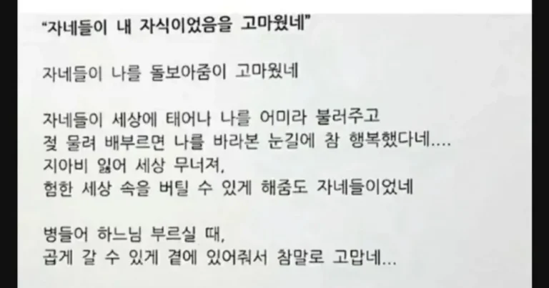 노모가 자녀들 몰래 적어둔 유서