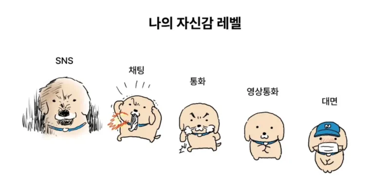 매체별 자신감 레벨