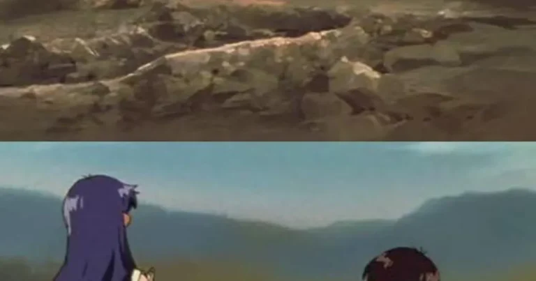 에반게리온 요약 만화.jpg