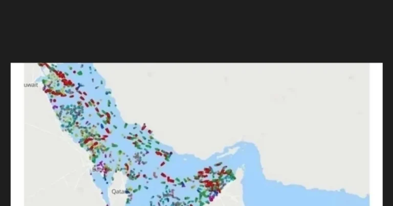 호르무즈 해협 돌파한 한국 선박