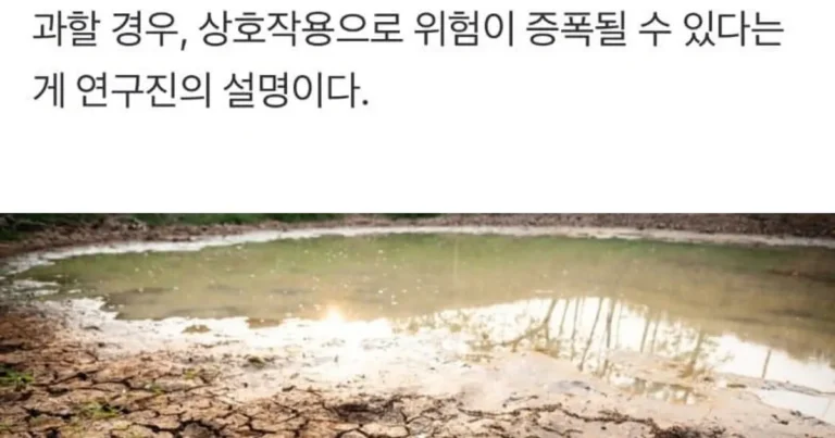 “인구, 지금보다 절반 줄어야 한다” 뜻밖의 ‘충격’ 경고
