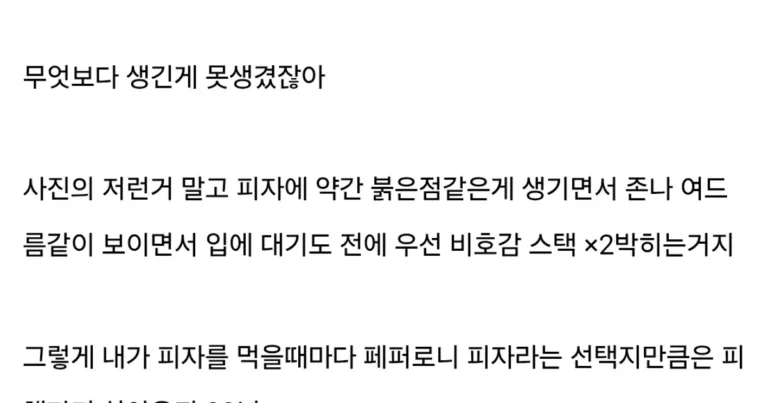 존나 얼척없는 페퍼로니 피자썰