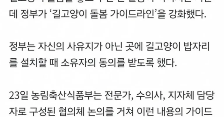 이제 공공장소, 사유지에 함부로 길고양이 밥 못 줌