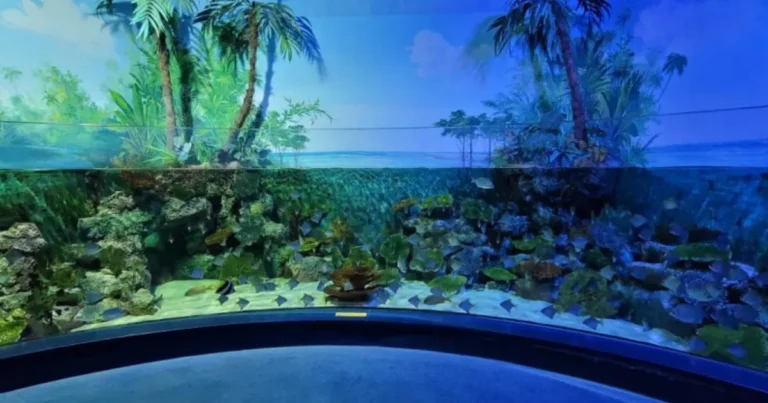 “아직은 쌀쌀한 바닷바람 피해서 예쁜 사진 남겨요!”…해파리 존과 해저 터널이 있는 실내 수족관