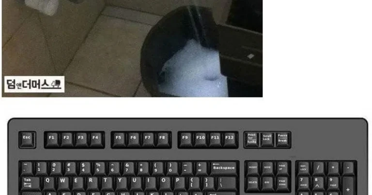 일상생활꿀팁 모음