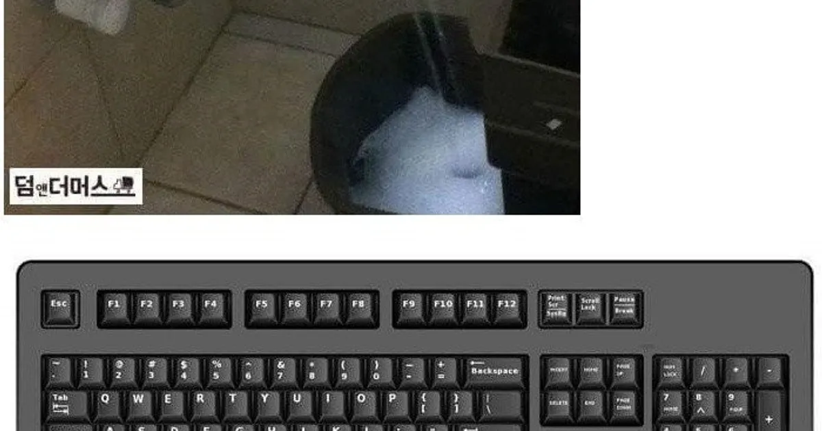 1da597726ca9a93637db7e80bfde05891a5d9cb536e594f5ad5d7a3c731c6ed4