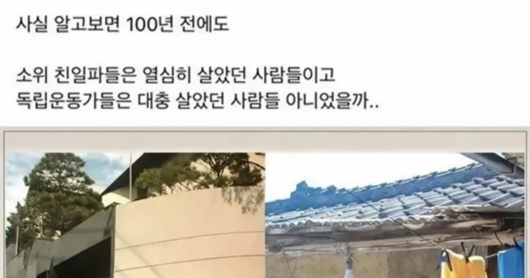삼일절 기념 짤