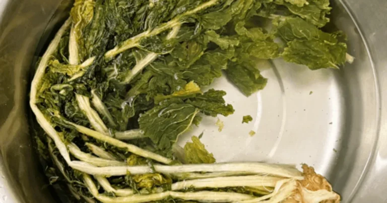 마트에서 1000원에 팔던 “이 채소”가 브로콜리의 항암성분 20배 였습니다.