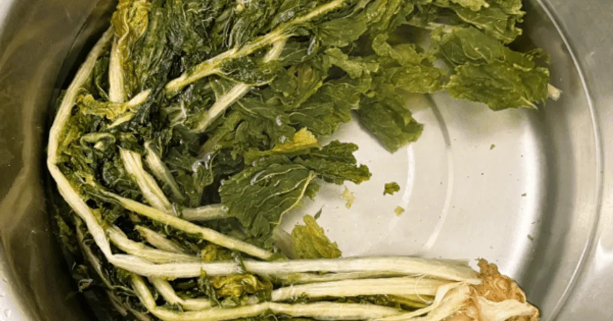 2484cae7c25c2b26cd7212fda39746dd336b567a2ef649ac3bc51c0eb24c7298