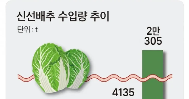 봄동비빔밥 유행시키는 이유 – 중국산 대량 수입 목적