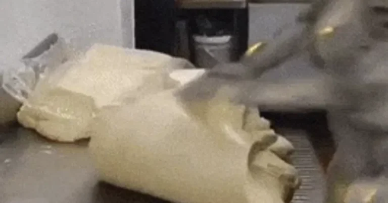 언젠간 한번은 겪게 될 로봇 딜레마.gif