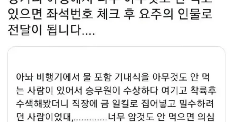비행기에서 굶으면 안되는 이유
