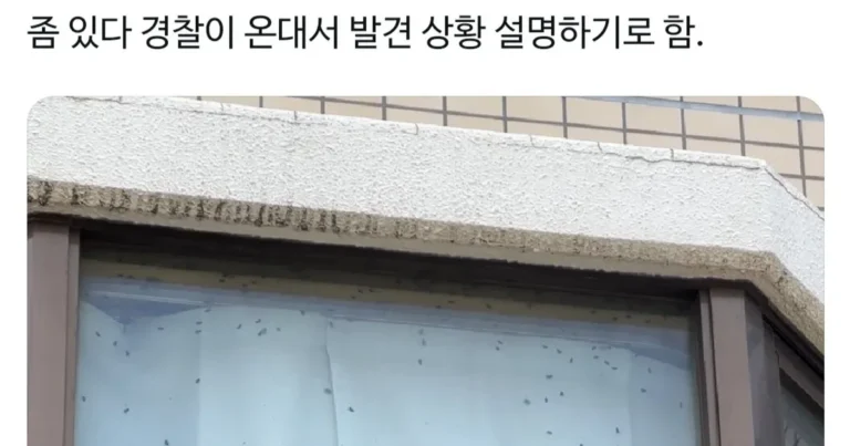 창문에 파리가 너무 많아서 경찰에 신고한 사람
