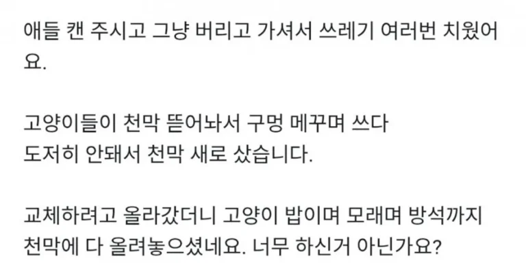 캣맘한테 고통받는 당근캣맘