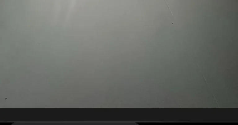 민폐주차 뻔뻔한 차주,,