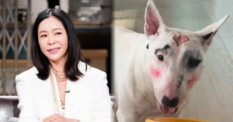 이혜영, 동물학대 논란? 반려견 얼굴에 화장 덕지덕지…”결막염·각막궤양 이어질 수 있어”