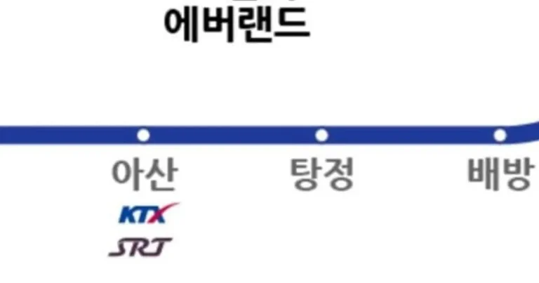 에버랜드 갈때 조심해라