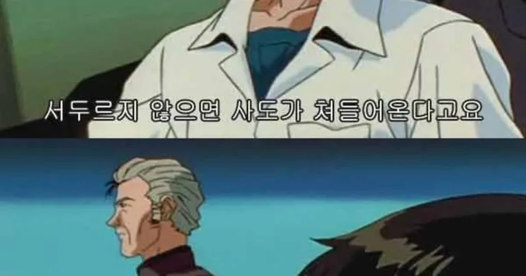 십덕십덕 에반게리온 요약 (스압, 십덕)