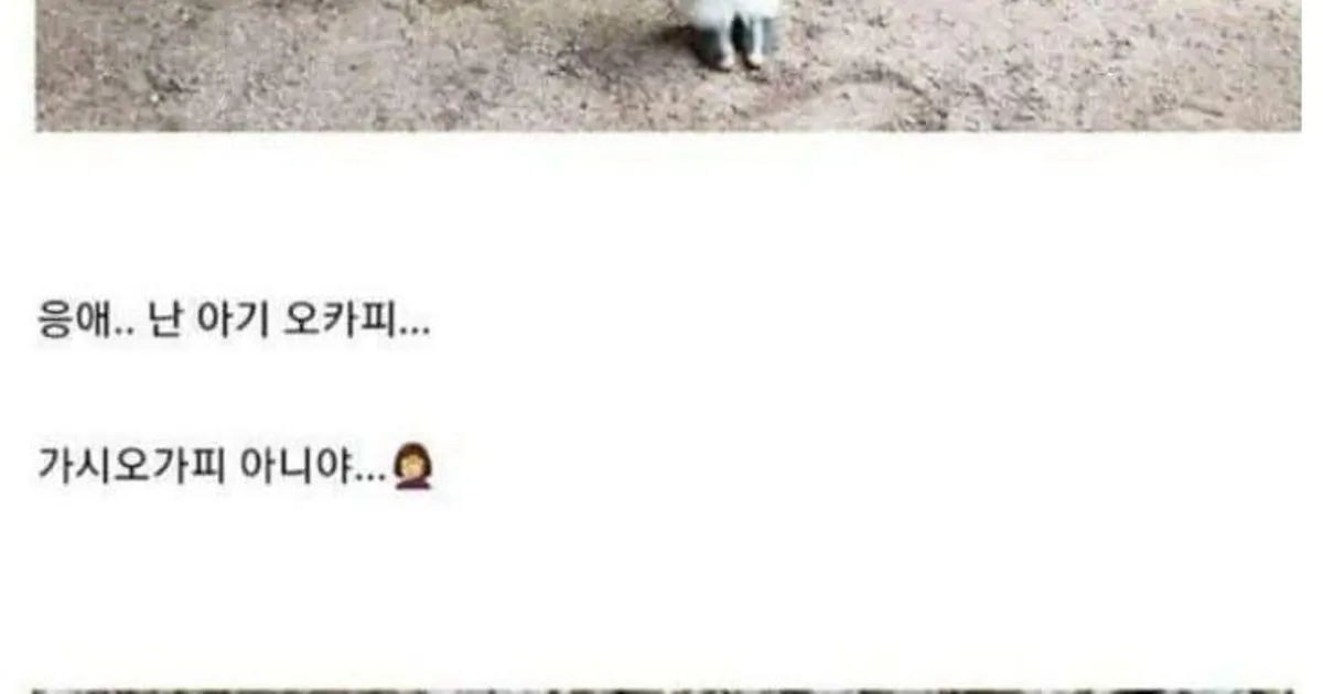 68746d5d9f57ae425e3b01a7669758f02179ba09b2f3e1dbbb90f7ca3b3afc0c