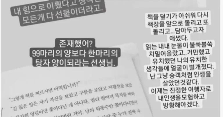 현재 배우 김지호 욕쳐먹고 있는 이유
