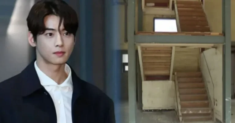 차은우, ‘1000억’ 수익설 속 탈세 의혹…형사 고발되면 “전과 남을 수도”(+국세청결과)