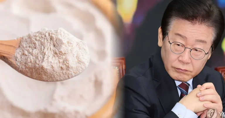 “공권력 총동원” 이재명 대통령 경고 통했나? ‘밀가루값’ 전격 인하(+물가안정대책)