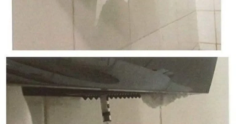 동유럽 화장실에서 조심해야 하는 이유