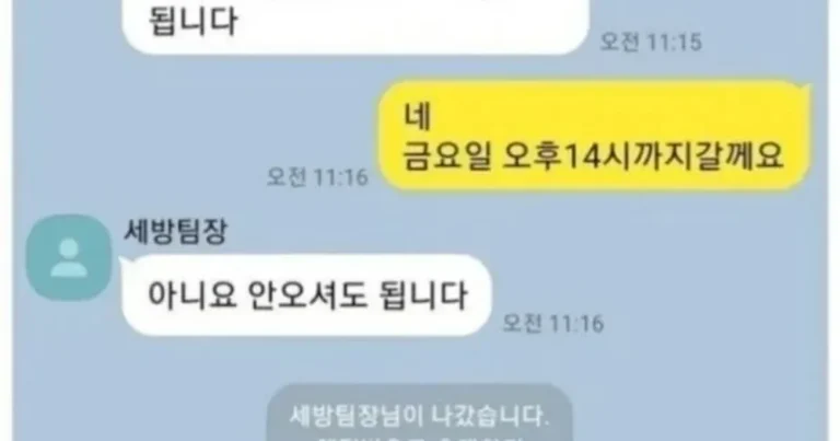 카톡 한 줄에 입사 취소됨