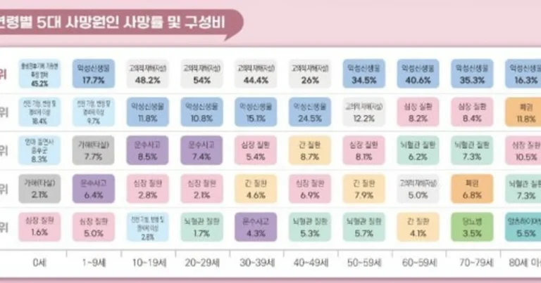 연령별 5대 사망 원인.jpg