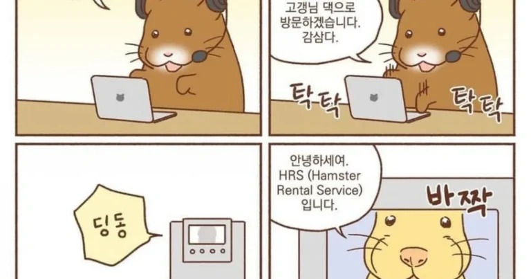 애완동물 렌탈서비스