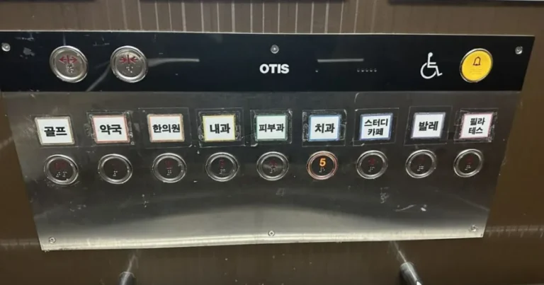 건물주 인생이 부러운 라인업 레전드