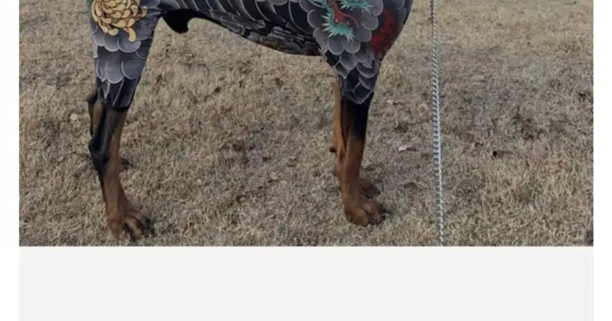 Bf1bd94b11df97980510e17a9aaaf9d5bc0a343c48c41a45f2951a398edbd711