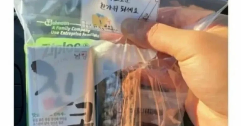 이쯤에서 다시보는 레전드 ㅈ소 명절 선물