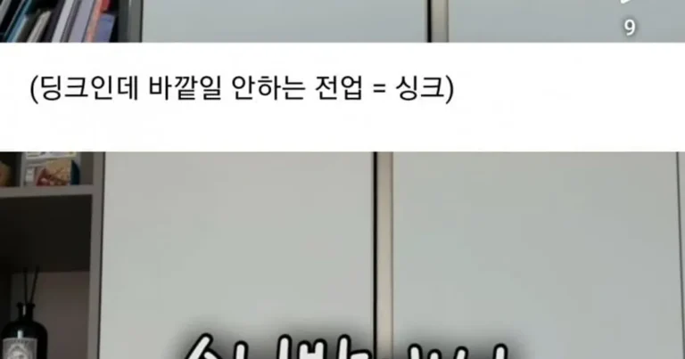만족도 최고라는 싱크족 아내의 하루.jpg